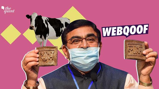 印度真的很落後嗎？印度專傢：牛糞能提高人體免疫力-圖3