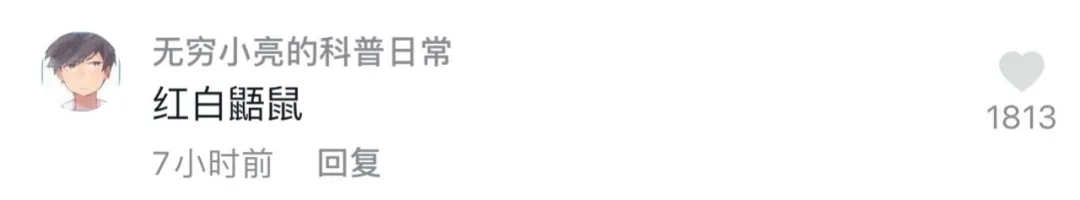 半岛晨报 大白天在武当山拍到的，难得一见！