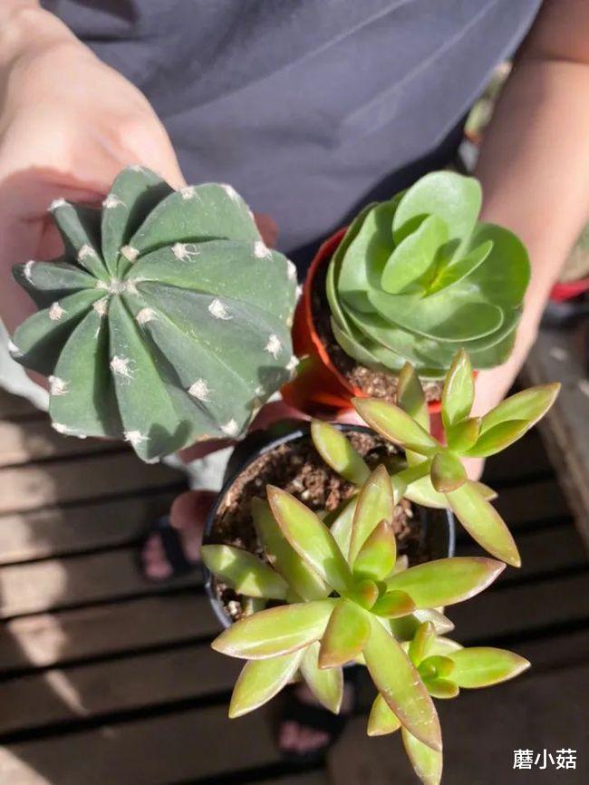 孙燕姿|被“封杀”4年后，她终于复出，娱乐圈要大地震了！