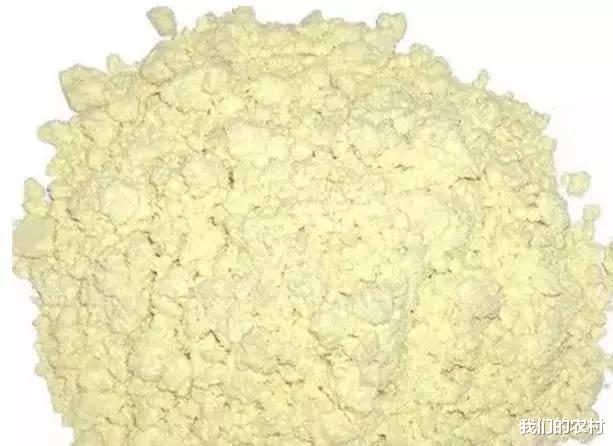 饵料|自制蚕豆钓鱼饵料，钓鲤鱼 草鱼 青鱼，告别传统玉米粒