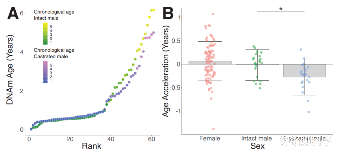 科学家 阉割使人长寿？为啥太监比皇帝活得久，科学家新发现或是问题答案