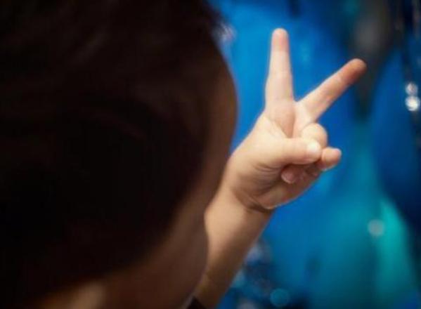 佟丽娅|有种基因突变叫佟丽娅儿子，出生时长相一般，刚过5岁却帅成男神