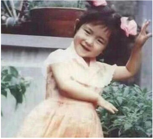 闫妮|谢娜只做一期央视主持人就被换掉,发生了什么?央视给出12字评价