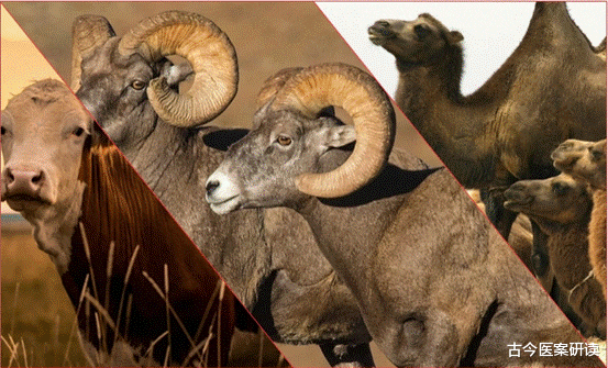 骨质疏松|吃一口相当于17个苹果，研究机构坦言：若你常吃，骨骼“硬如铁”