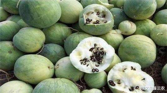 以文温暖三农 沙漠里遍地是“西瓜”为何无人敢吃,实际情况是什么?