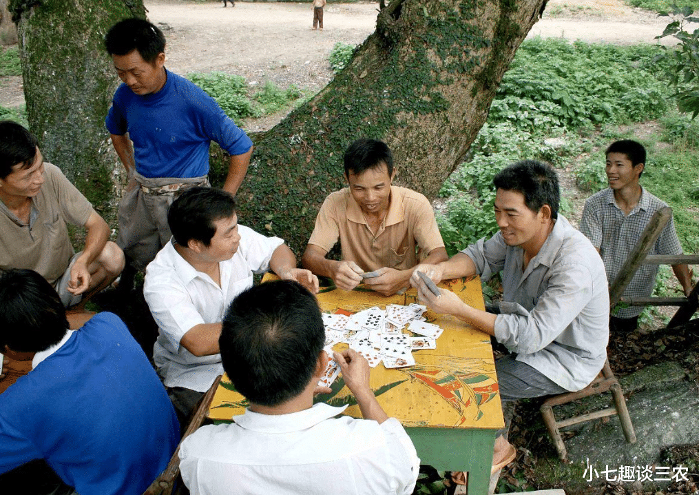 小七趣谈三农 农民打麻将也犯法？最新回应来了！3种情况算娱乐，3种算赌博