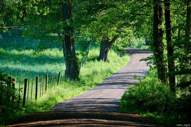 人力资源|55条你当领导后才明白的道理