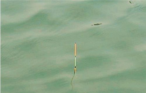 |学会了这样调漂，会让你钓鱼事半功倍