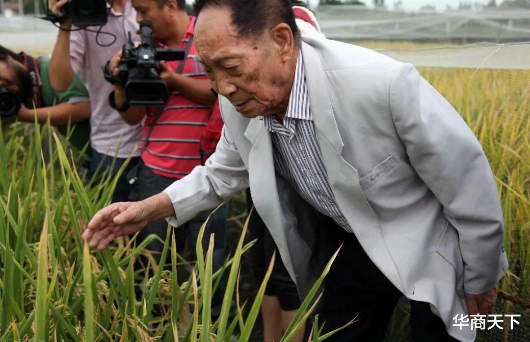 华商天下 您好袁老，无奈地归去来兮！是您让我们吃饱，也让一些人吃得太饱