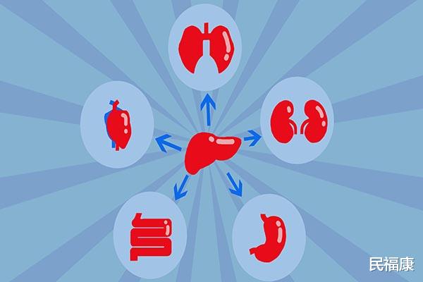咽炎|长期不吃碳水,只吃肉,真的能减肥增强体质吗?早了解为好
