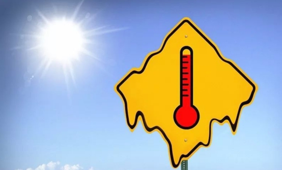 沙漠骆驼 地球怎么了？阿尔及利亚60℃高温不退，沙漠骆驼当场被热昏