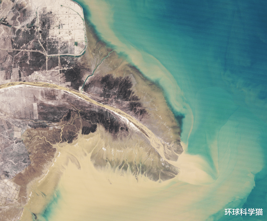 美國衛星又來瞭！黃河三角洲31年巨變：大片植被覆蓋，海水變清-圖3