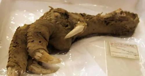 金字塔 科学家新公布罕见的照片, 金字塔的塔尖并不是尖的