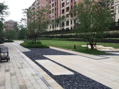 |10年6次搬家，本以为喜提新房，谁知绿化缩水，开发商绿化套路要明白