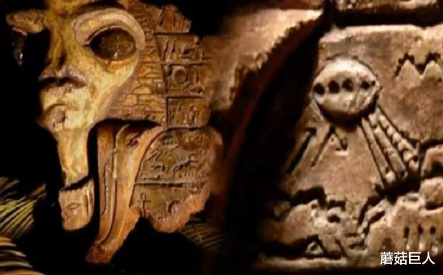 基因 让人无法信的基因检测，战败异星人受困地球，人类无形再添谜团