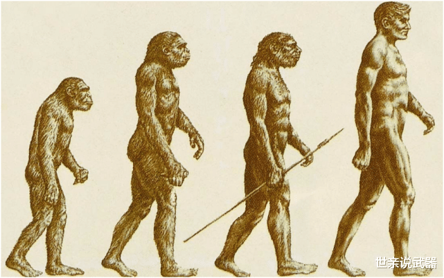 木星 巴拿马猴会使用工具，可能进入了石器时代，未来会威胁到人类吗？