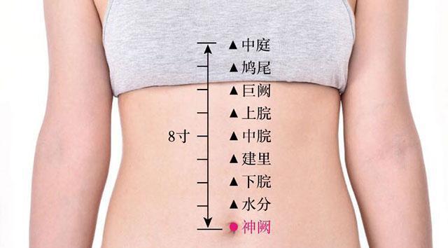 平直堂|脾胃虚弱如何调养？