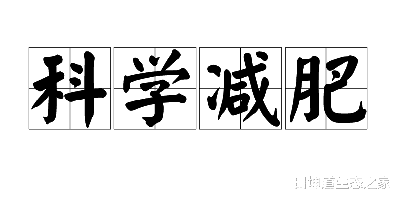 男装 田坤道|躺着也能减肥!燃烧脂肪靶点真的能让轻松减肥成为现实吗
