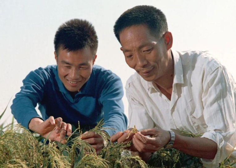 苏芒|魔幻且荒诞！袁隆平短袖35，马拉松1600拿命挣，明星650吃不饱？