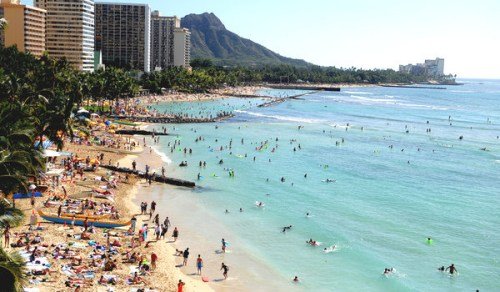 蒋沈韩杨 夏威夷妓女服务费100美元，为抓捕妓女，允许执法人员接受服务