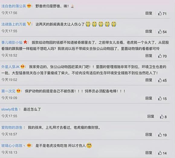 谋稻粱矣 安徽一饲养员亡命虎口,市民透露员工不给老虎肉吃,饿得不成样子