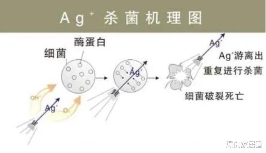 爆侃家居圈 日本人进屋都要脱鞋，难道不怕“脚臭”吗？日本小姐姐道出实情！