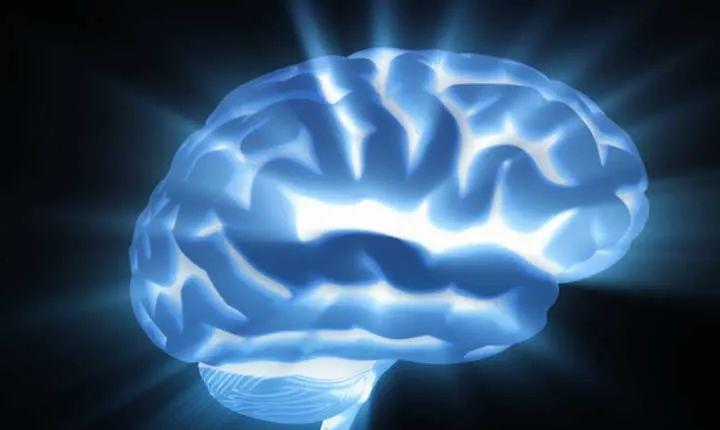 人类大脑在3000年前开始缩小,或因集体智慧扩张,那我们变笨了?