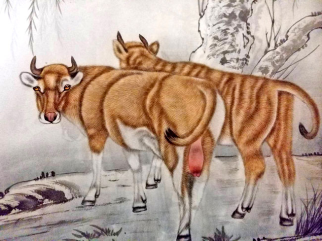 古韵淳风 农历九月十八霜降，3生肖将能开启好运，出门见喜，财业亨通！