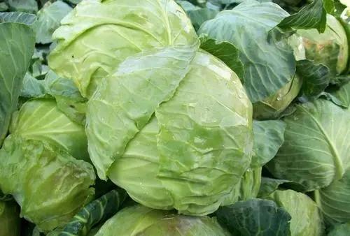 肠胃|玉米是胃炎的“发物”？医生：想胃好，或可常吃这几种食物