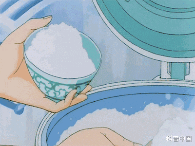 |吓人！经常使用电饭煲会致癌？出现这种情况的要注意了