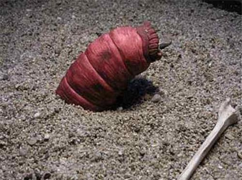 菜菜叶|死亡之虫是石龙子吗?有人说是一种超自然的魔物