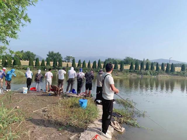 苏杭|豪车停满、买装备花100多万,钓鱼是男人最后要占领的高地?