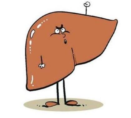 糖尿病|4种食物是肝脏的“修复剂”，建议想养肝的人多吃一点