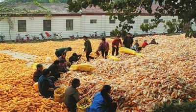 墨竹一休 04年河北磁县奸杀开膛挖心大案 ——林致