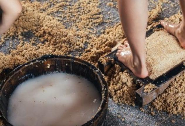 小北说天下 为什么茅台酒坚持用“少女光脚踩曲”?不怕有汗液吗?原因为何?