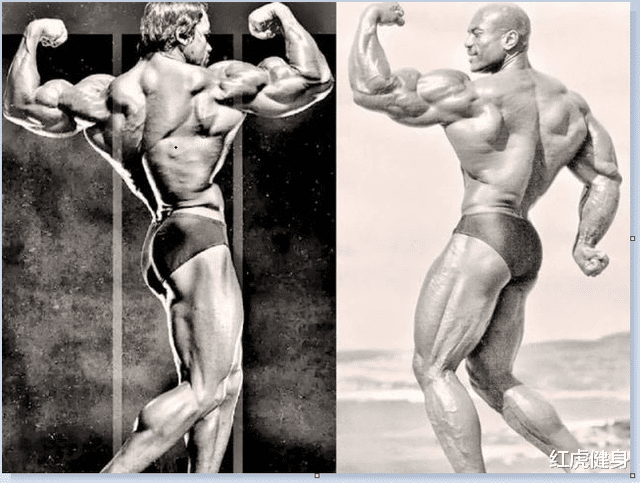 尿路感染|自然健身爱好者的5大训练原则