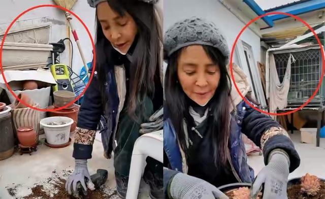 李勤勤|女星李勤勤好落魄！房子破旧不堪墙面掉皮，墙角堆满废品舍不得扔