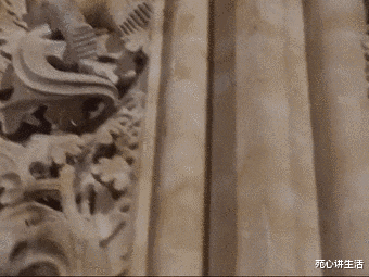 化石 科学史上五大谎言,没有一个是真的,但至今仍有人深信不疑