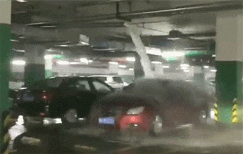 汽车|“日本天皇19岁独生女照片流出,网友纷纷炸锅了!”