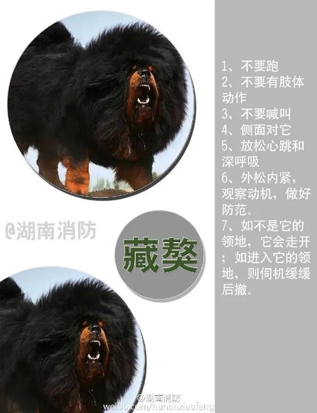 安徽共青团 小心!虎出没!