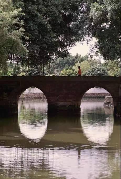 羊城派 清明第二天，乡村游成广州周边游“人气王”