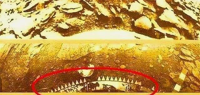 抗体 人类探测器在金星拍到古老“文明遗迹”照片，是外星人的杰作吗？