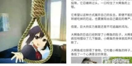 随机游程 我们如何面对期货交易呢?