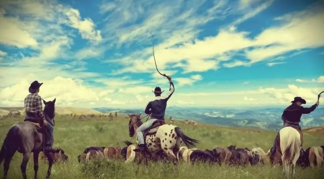 隔离 各人种之间为何不存在生殖隔离？黑种人、白种人、黄种人发展史