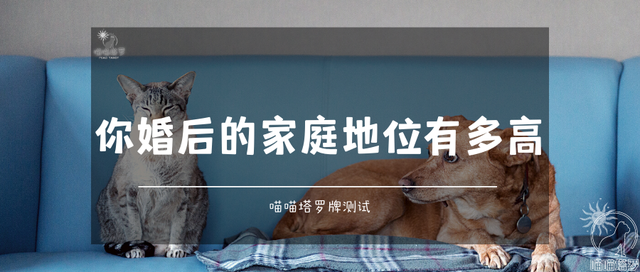 喵喵的塔罗|塔罗牌测试，你婚后的家庭地位有多高