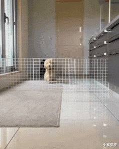 |搞笑GIF：100万一次，100万两次，好的后面大哥出500万，成交咣当...