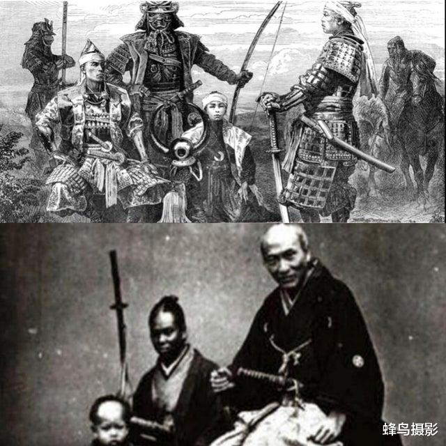  30张活久未见的照片，鲤鱼跃出水面吃树上的水果，这是要进化啊