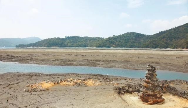 日月潭 日月潭底垃圾成堆,惨不忍睹!原来语文课本中的美景都是骗人的?