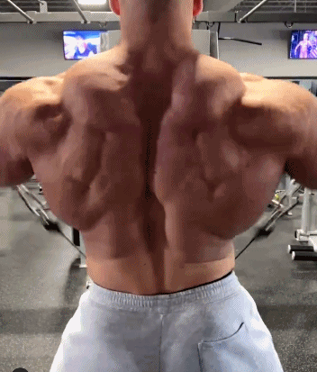 运动|身高188CM，体重330磅，夸张的背部肌肉，极具视觉冲击