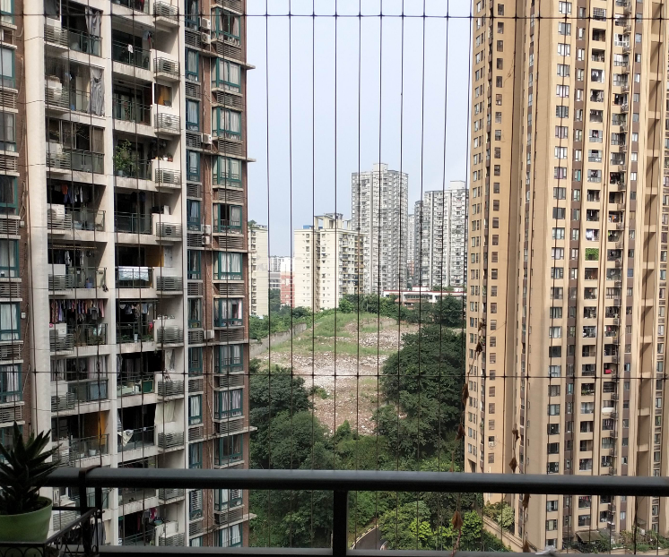 客服|楼市不要总说上车机会，要说买入能力